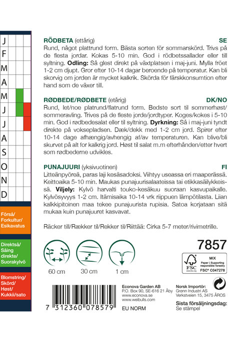 Rødbeter 'D'Egypte'